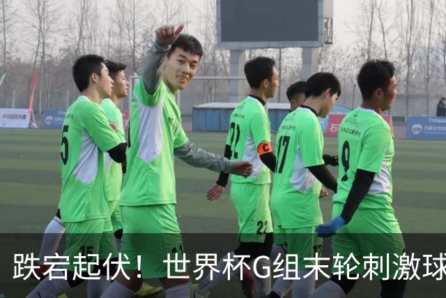 跌宕起伏！世界杯G组末轮刺激球迷心脏 伊朗狂喜过后遭打击